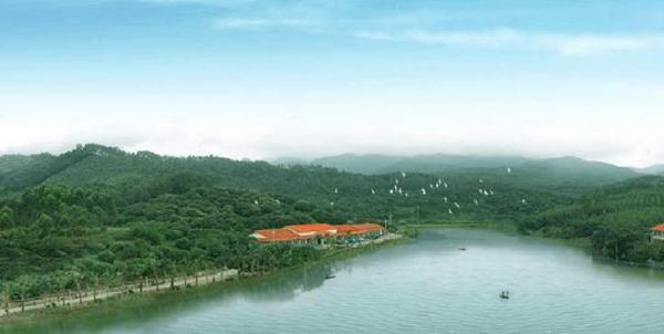 3个高铁站7条高速路 博罗房地产迎来黄金时代