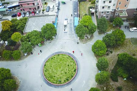 小区移除树木 是毁绿还是做好事?