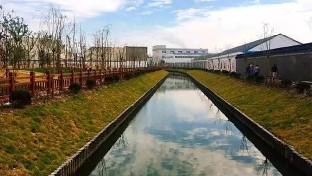 金山备受瞩目的公园建得咋样了?超多美景抢先看!
