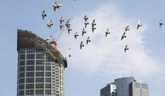 房地产去库存成国家任务:总量消化需6年_频