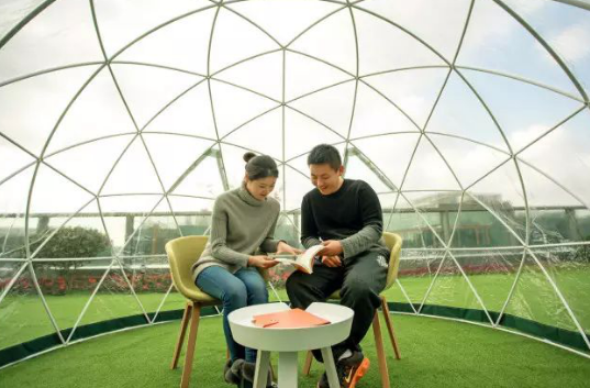 有生命能成长的办公空间是什么样?