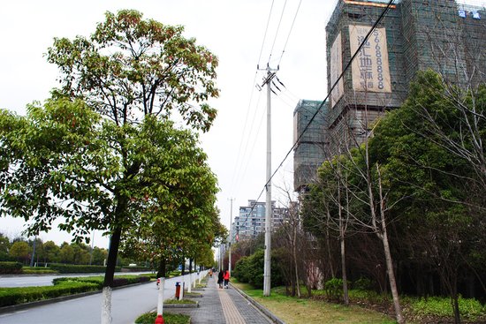 距离地铁站最近的一期,轨道交通7号线的南陈路站站台连接小区地下车库