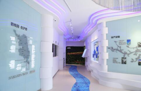 碧桂园湖悦天境千万级示范区首映 汾湖进入碧