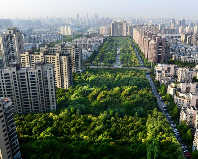 中鹰黑森林之春 陈洁钢琴独奏音乐会火热报名