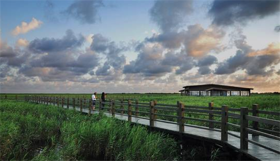 【长岛头条】撤县设区,疯抢崇明!长岛单周热销