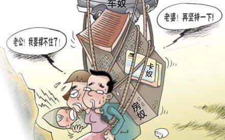 快手张二嫂收入_房嫂收入够(2)