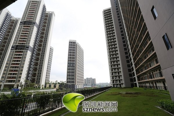 深圳253名社工 将获首批人才安居租房补贴