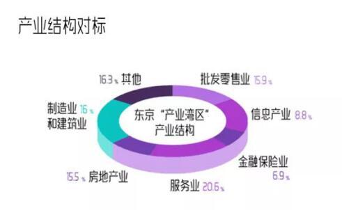 大湾区经济总量超越加拿大_粤港澳大湾区图片(2)