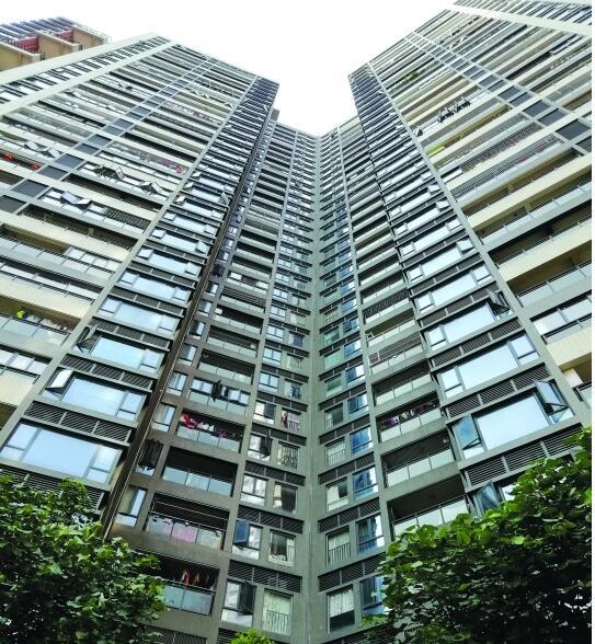 光明大第小区出现违建一年半 查处工作还没结