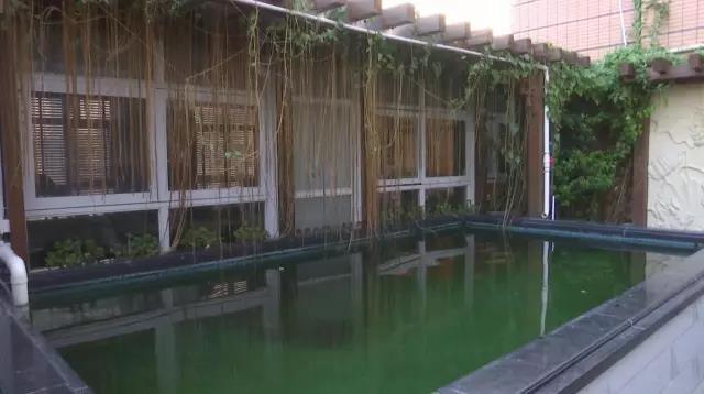 深圳一小区天台被占建鱼池 业主抱怨无法晾衣服