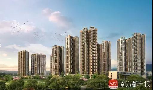 深圳一大批人才房开建、公租房放出 别错过申