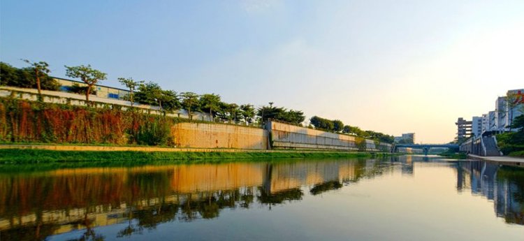 60岁阿姨炒股赚钱为儿子买别墅 股民套现后爱