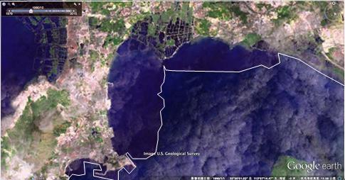 深圳海岸线的变迁:海水被逼退 红树林填成豪宅