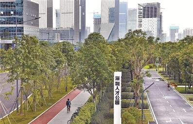 深圳人才公园10月开园 目前绿化铺装大面积完