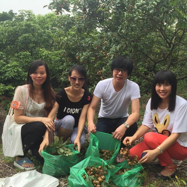 采摘龙眼享仲夏时光 鸿威的森林清林大宅回归