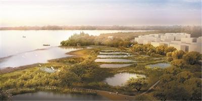 深圳国际生物谷坝光核心区开发 规划31.9平方公里 