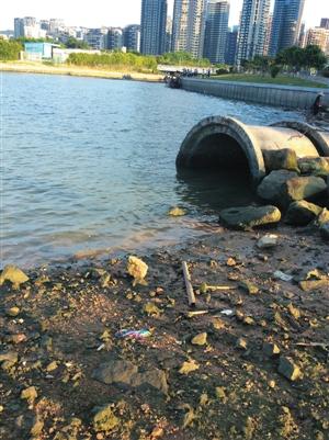 主管部门避而不谈 深圳湾污贼房地产楼盘是否环评成谜