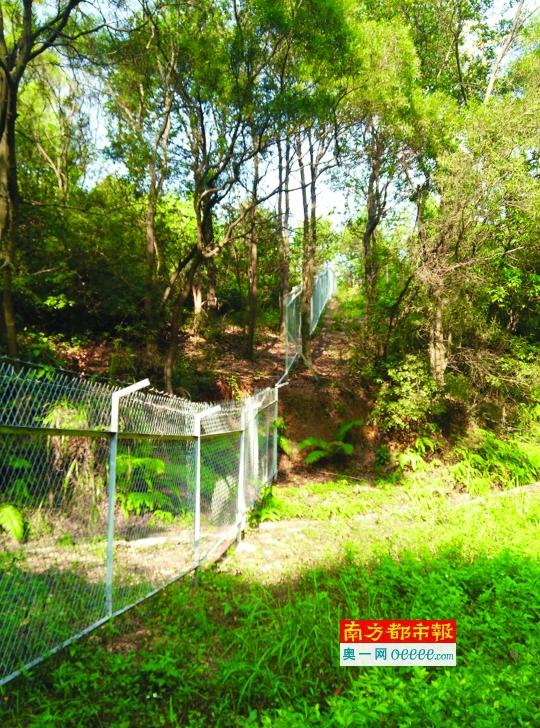 回复称处理中 投诉人 红岗公园 周边居民 被点名单位 深圳市草莆章&
