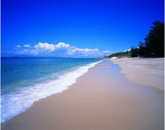 金融街巽寮湾提升分红 百万现金大礼致敬业主