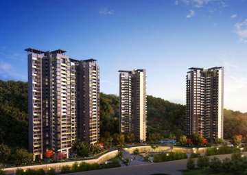 60岁阿姨炒股赚钱为儿子买别墅 股民套现后爱