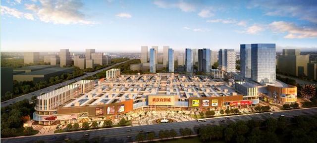 武汉人大代表一行亲临现场考察武汉自贸城