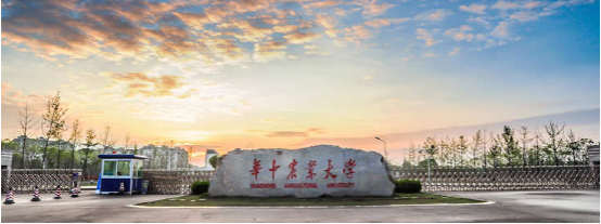 前途可量 武昌后花园--南湖片区深度解读