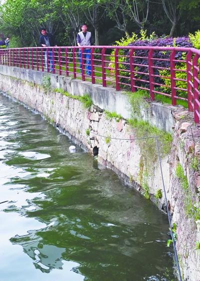 污水排南湖投诉4年无进展 居民追问该哪个部门