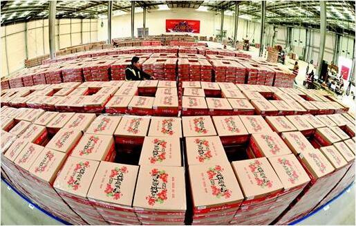 阿里巴巴在汉建立两大物流基地