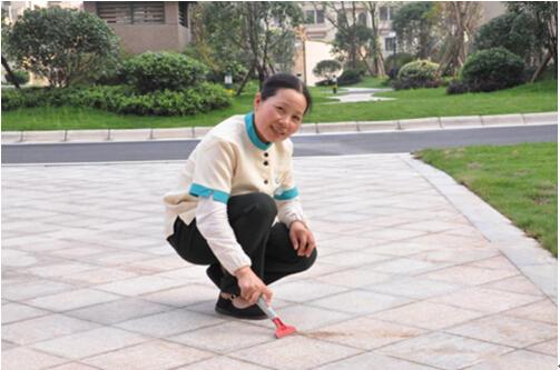 五星物业--我是生态城美容师,我为自己代言!