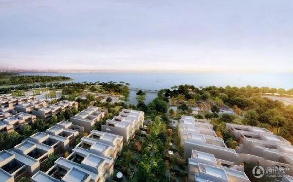 30岁 在阳光100大湖第住平墅刚刚好