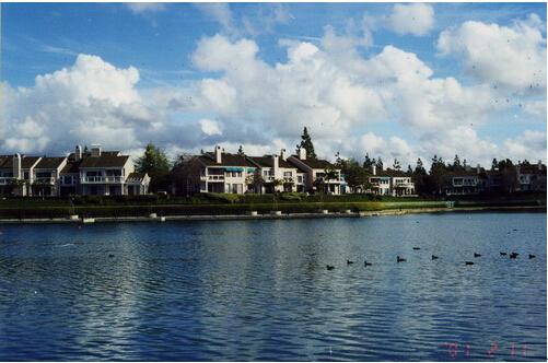 阳光100:来自尔湾的未来生活