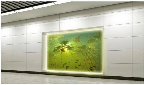 四新大道站的艺术橱窗 武汉商务区站的穹顶 武汉商务区站内部图片