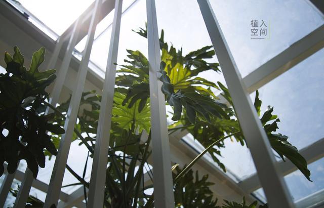 从斯坦福走出的姑娘房产_花房武汉站_腾讯网景观设计方案v姑娘标准图片