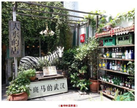 走秀活洒下自然的花坊武汉首个种子人妖诞生现情趣内衣社区惊为生图片
