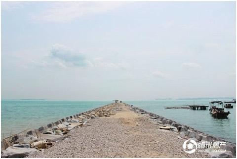 海上五月花:沙滩美景醉人 公益环保活动圆满举