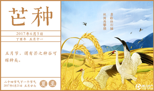 芒种时节 看看厦门地产圈这文案 就问你服不服