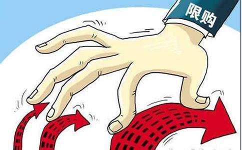 一个非典型性海南投资客的720天