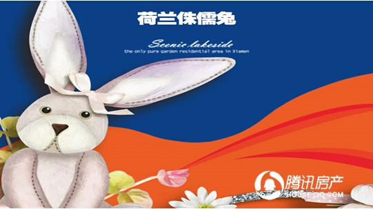 招商莱顿小镇:荷兰印象--世界上最小的宠物兔