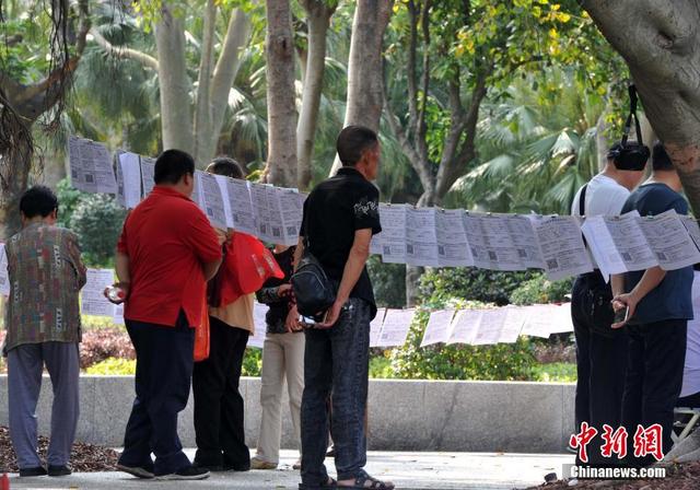 厦门公园现"相亲角" 父母扎堆为子女找对象