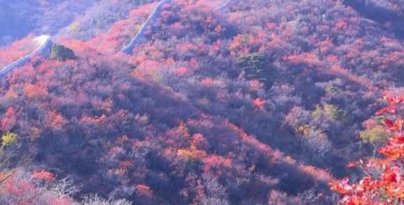 翔安香山公园三期将打造香花海 计划年底完工