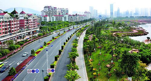 厦门岛内一批道路下半年完成景观提升_房产厦门站_腾讯网