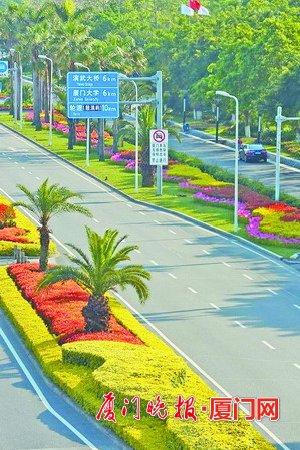 厦门岛内多条道路提升改造基本完成 景观靓丽升级