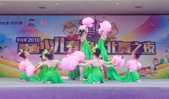 碧桂园2018陕西少儿春晚大赛盛大启幕