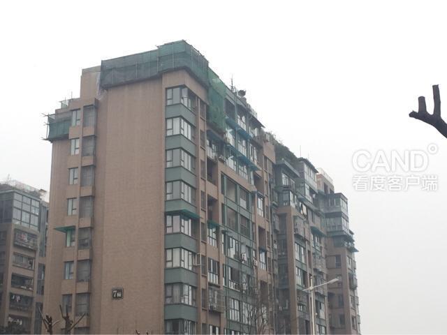 某小区10层楼房变11层 基本每幢都有违章搭建