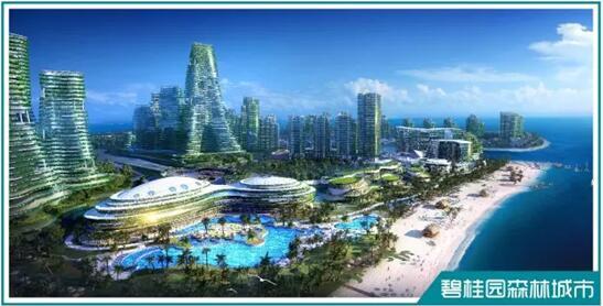 杨国强:碧桂园是什么?