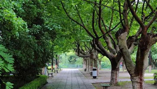 郑州“巨无霸”公园诞生，相当于82个人民公园!_房产河南站_腾讯网