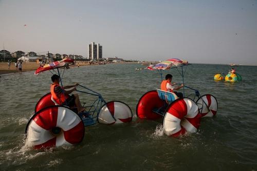 郑州春游去哪儿玩 阳光灿烂的日子相约春花浪