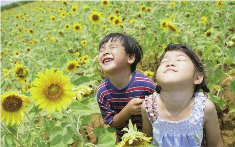 长江一号宏图业主2016郑州绿博园赏春游即将