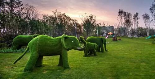 东润城:郑州需要 100个MeeBo野孩子主题公园