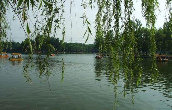 母亲节特别策划:妈妈,今天换我来爱你!